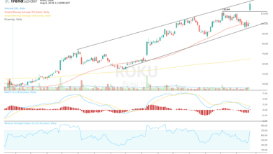 roku stock earnings