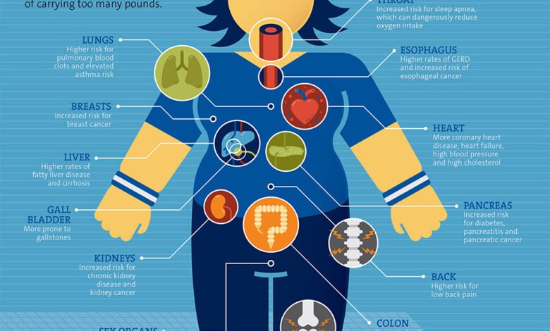 Briefly Explain Why Maintaining A Healthy Weight Is Important In Cardiovascular System Care