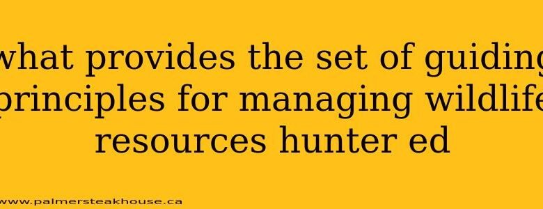 What Provides The Set Of Guiding Principles For Managing Wildlife Resources